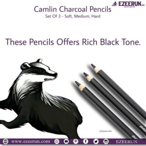 Camlin Charcoal Pencils (Pack of 3)